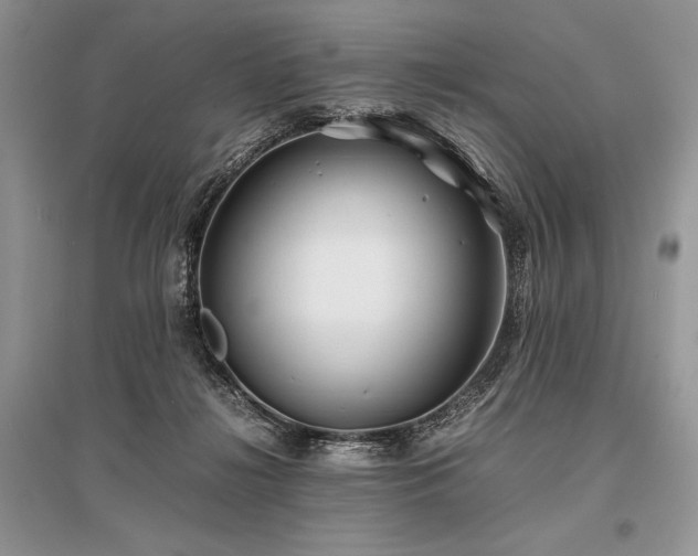 X0000096380268200801241244