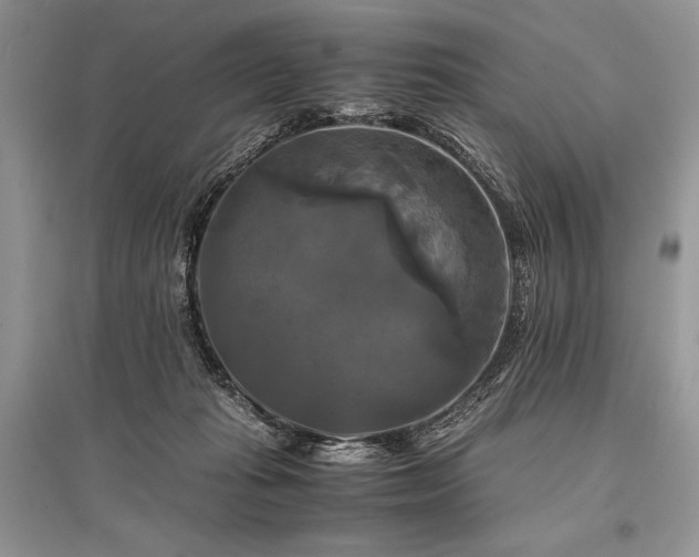 X0000096380269200801241244