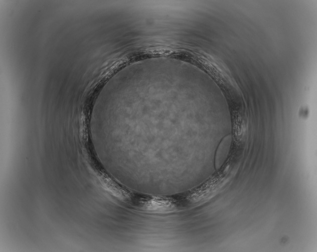 X0000096380270200801241244