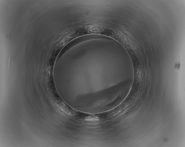 X0000096380271200801241244