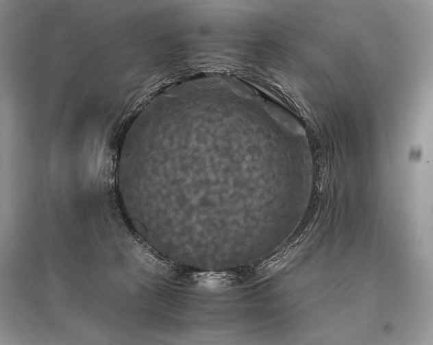 X0000096380273200801241244