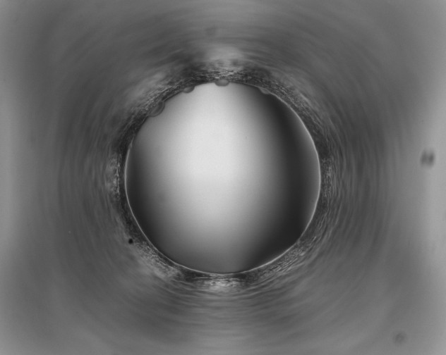 X0000096380274200801241244