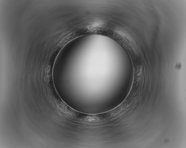 X0000096380275200801241244