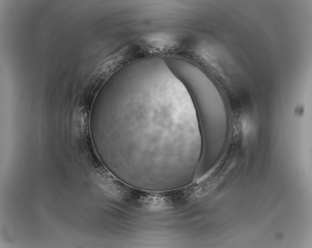 X0000096380276200801241244