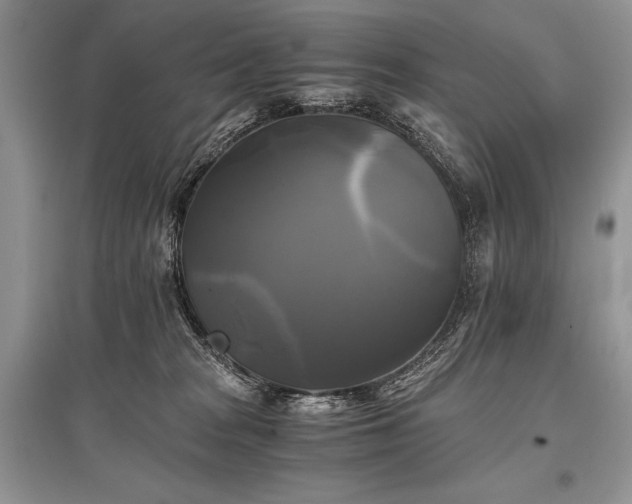 X0000096380277200801241244