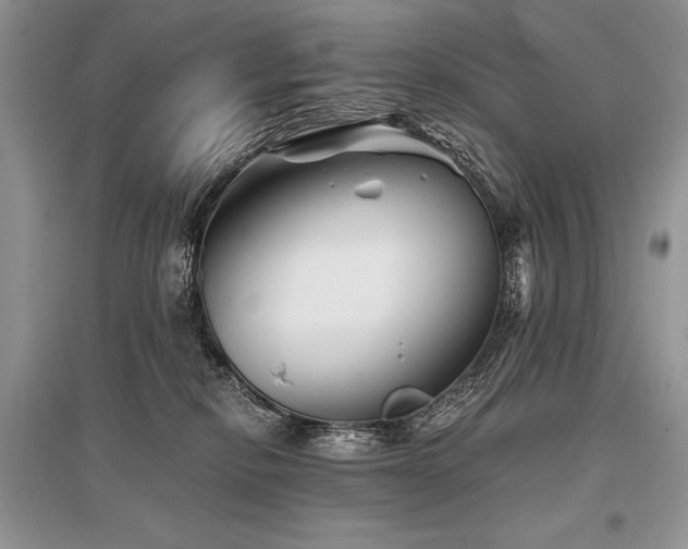 X0000096380278200801241244