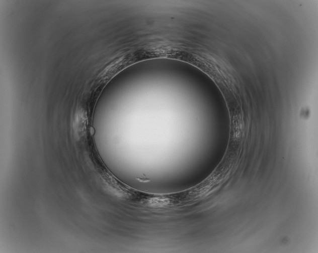 X0000096380279200801241244