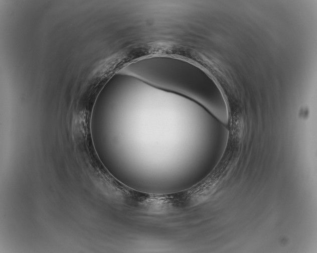 X0000096380280200801241244