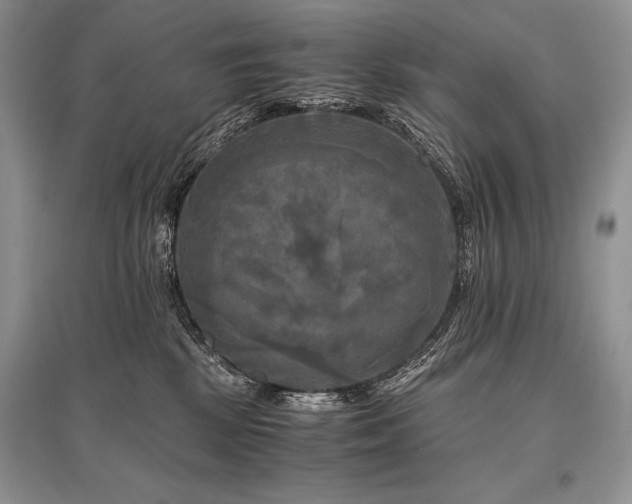 X0000096380281200801241244