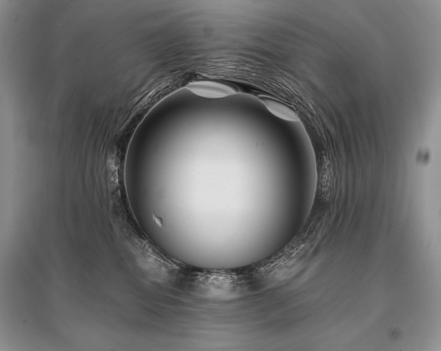 X0000096380282200801241244