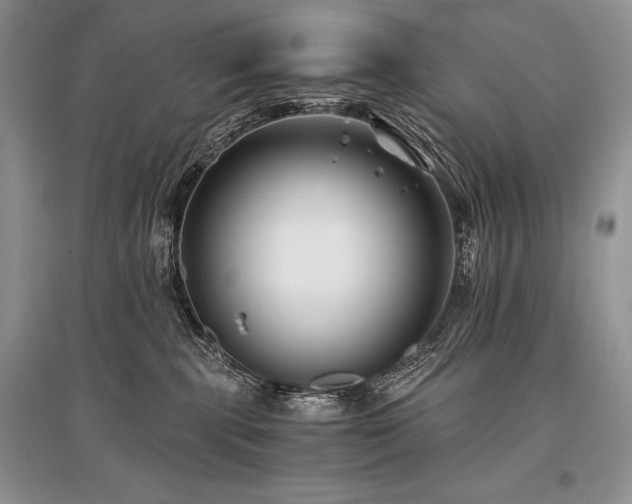X0000096380283200801241244