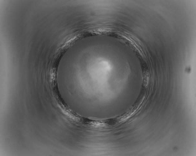 X0000096380284200801241244