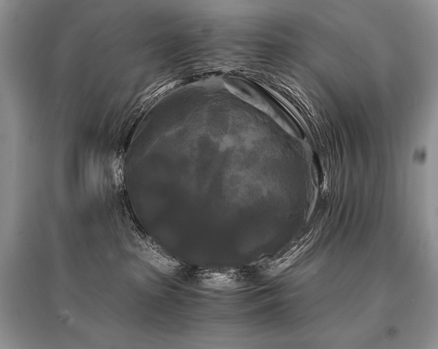 X0000096380285200801241244