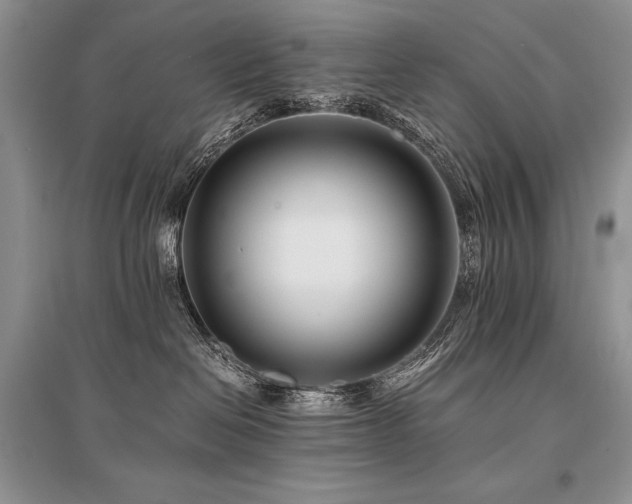 X0000096380286200801241244