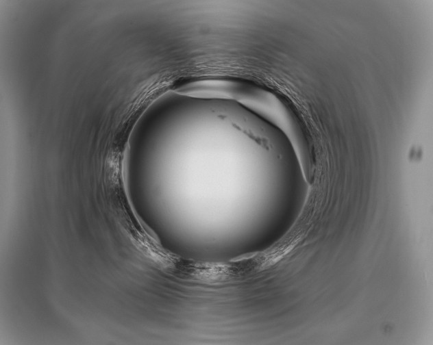 X0000096380288200801241244