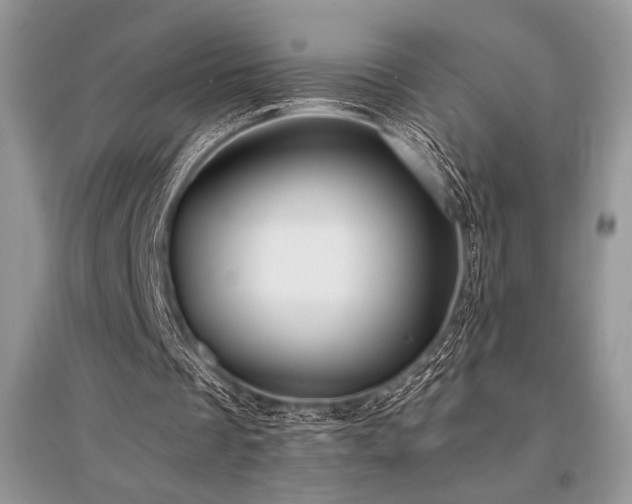 X0000096380289200801241243