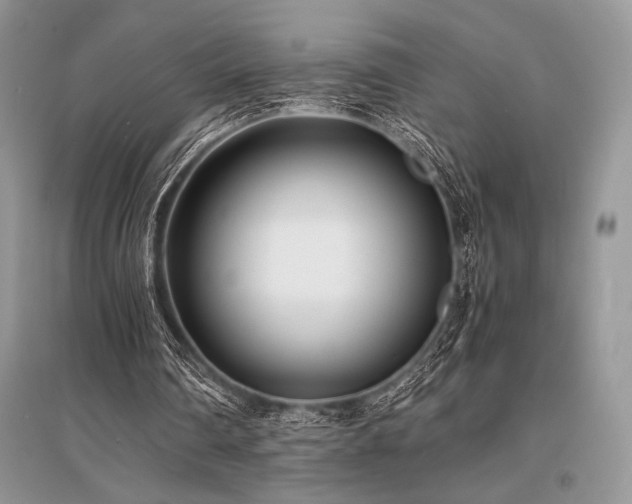 X0000096380290200801241243