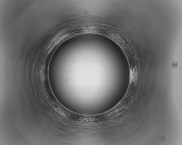 X0000096380291200801241243