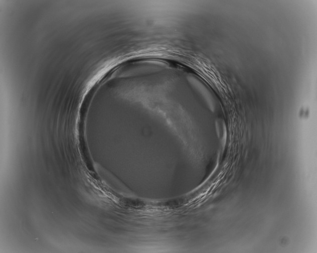 X0000096380292200801241243