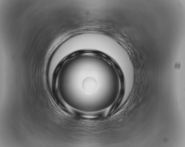 X0000096380293200801241243