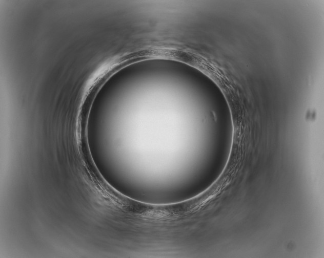 X0000096380294200801241243
