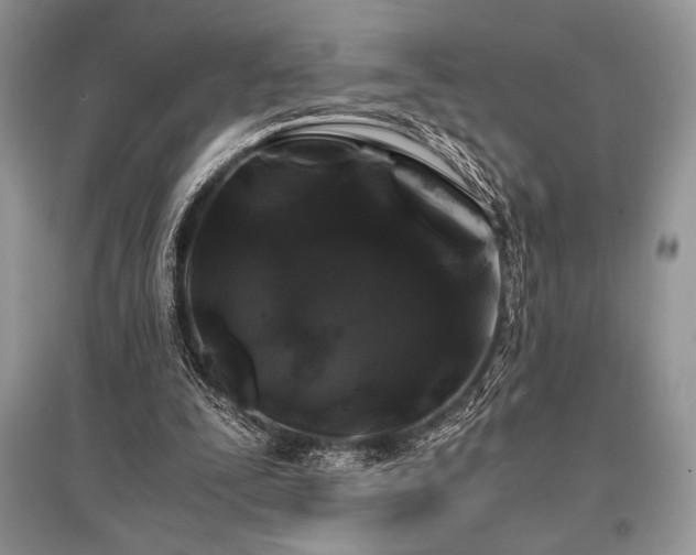 X0000096380295200801241243