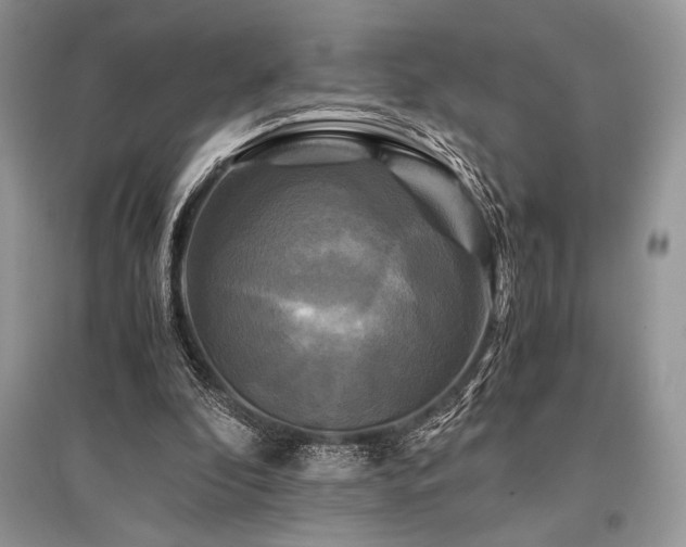X0000096380296200801241243