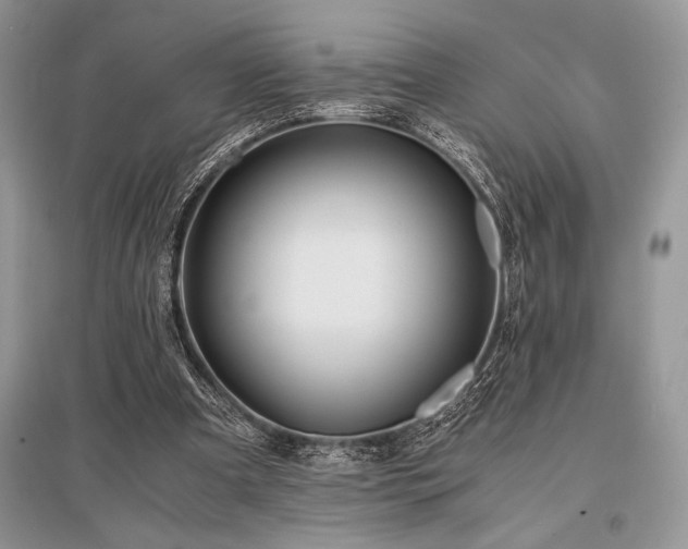 X0000096380297200801241243
