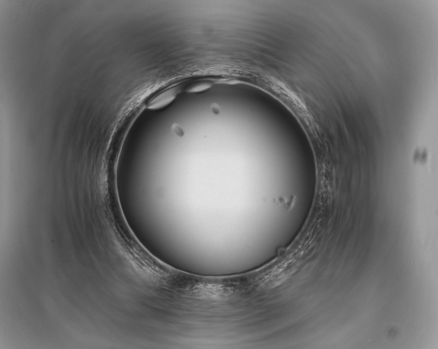 X0000096380298200801241243