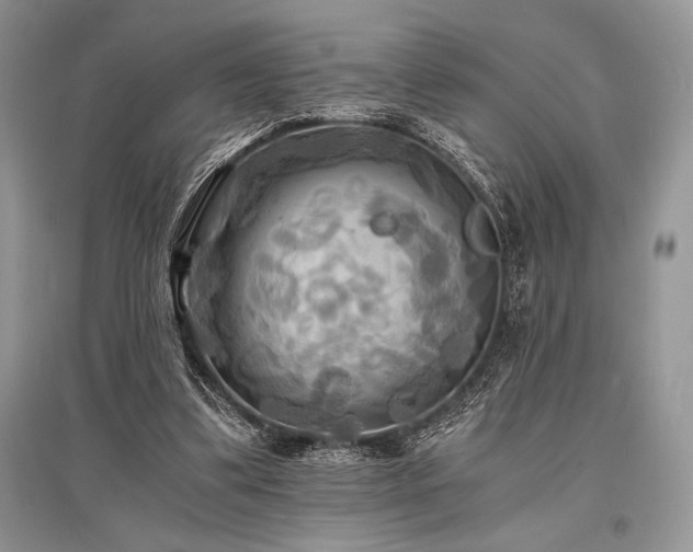 X0000096380299200801241243