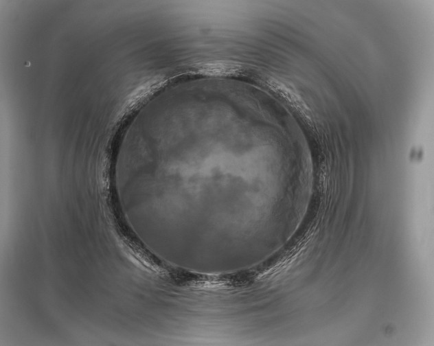 X0000096380303200801241243