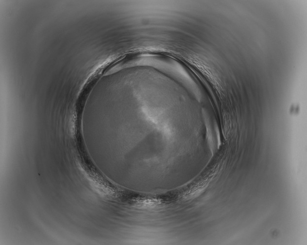 X0000096380304200801241243