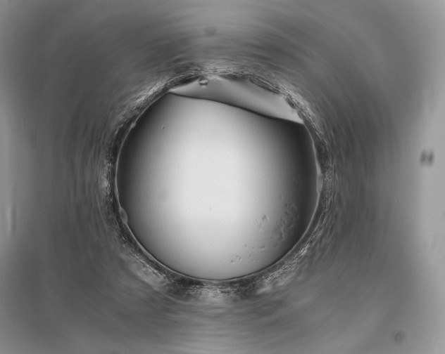 X0000096380305200801241243