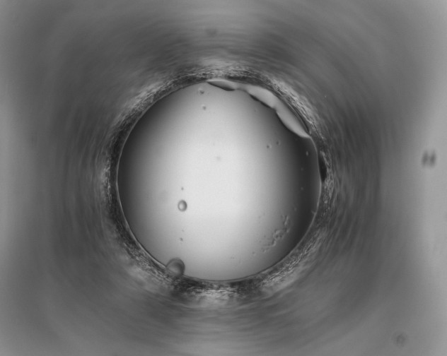 X0000096380306200801241243