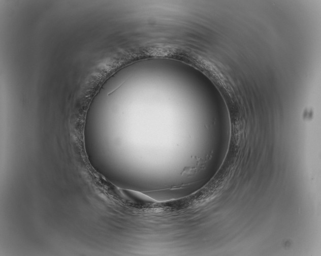 X0000096380307200801241243