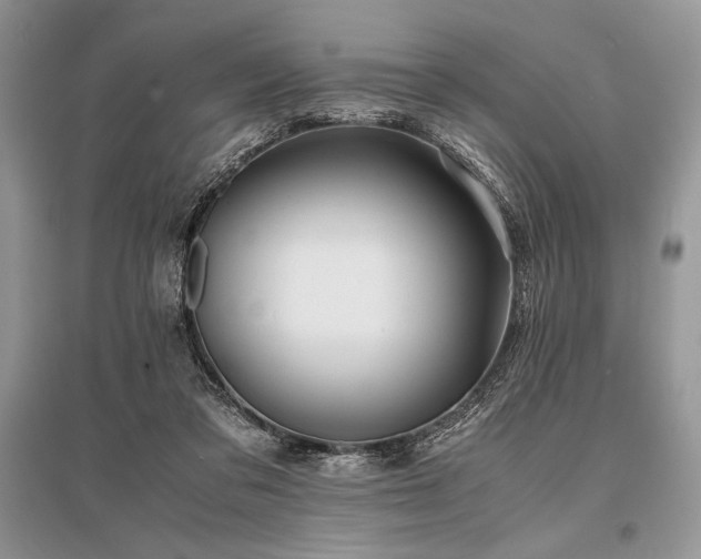 X0000096380309200801241243