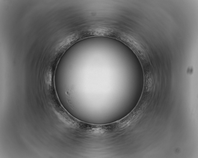 X0000096380310200801241243