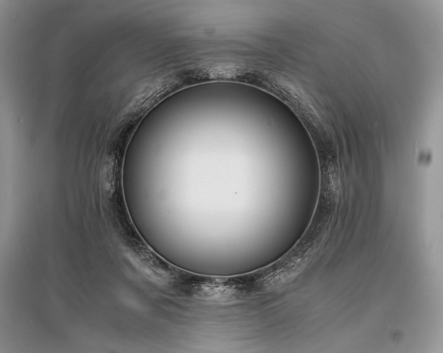 X0000096380311200801241243