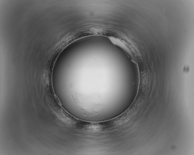 X0000096380313200801241243
