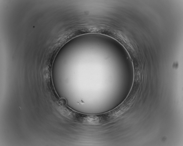 X0000096380317200801241243
