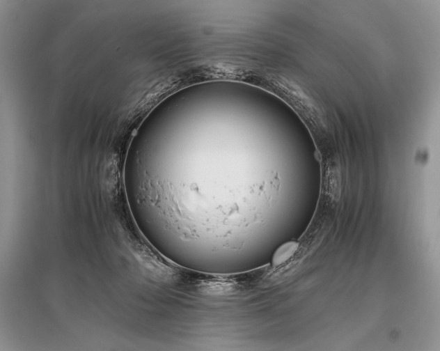 X0000096380318200801241243