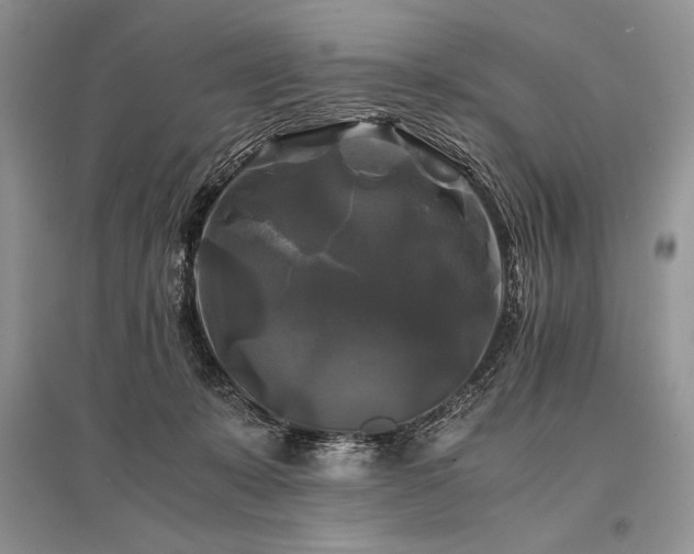 X0000096380319200801241243