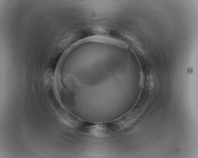X0000096380320200801241243