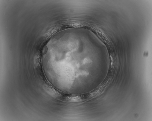 X0000096380322200801241243