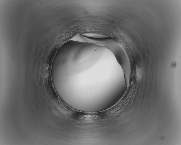 X0000096380323200801241243