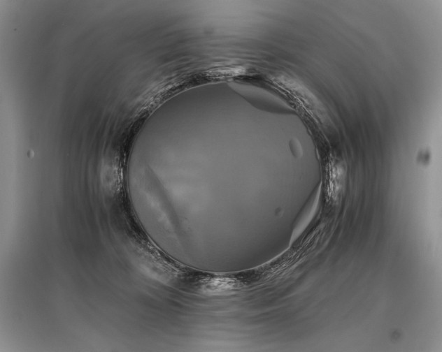 X0000096380324200801241243