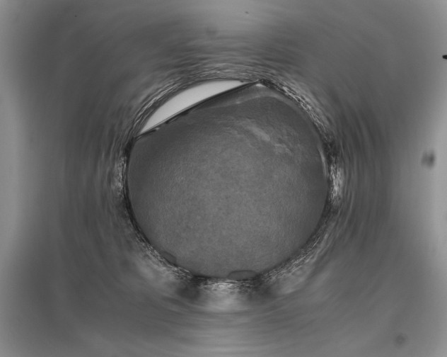 X0000096380325200801241243