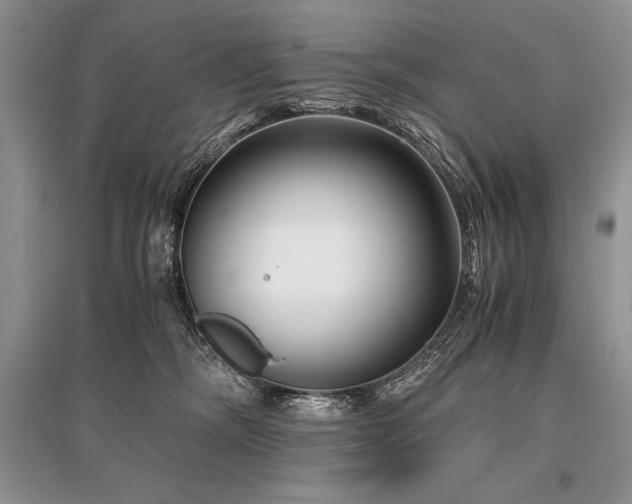 X0000096380326200801241243