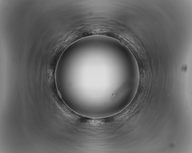 X0000096380327200801241243