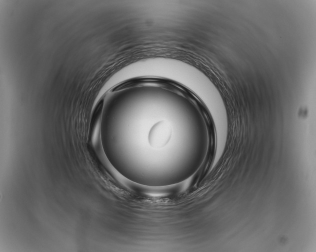 X0000096380328200801241243